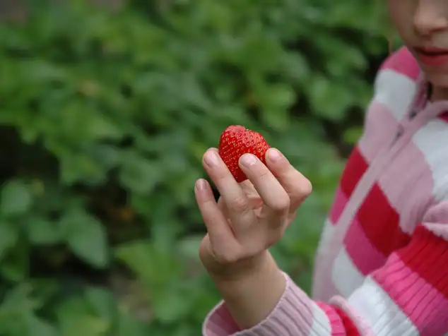 Kind mit Erdbeere